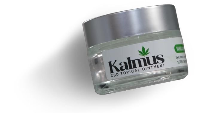 Kalmus